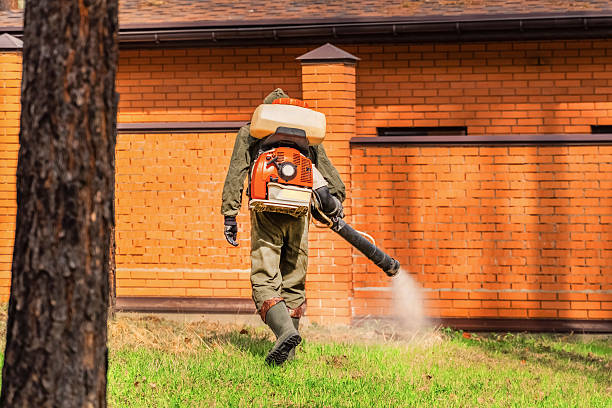 Trusted Rodent Control service in Sun Lakes, AZ - Nex Pest Control